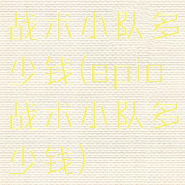 战术小队多少钱(epic战术小队多少钱)