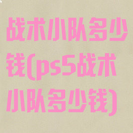 战术小队多少钱(ps5战术小队多少钱)