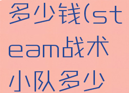 战术小队多少钱(steam战术小队多少钱)