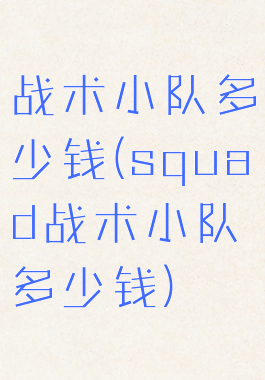 战术小队多少钱(squad战术小队多少钱)