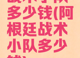 战术小队多少钱(阿根廷战术小队多少钱)