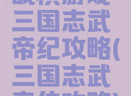 战棋游戏三国志武帝纪攻略(三国志武帝传攻略)