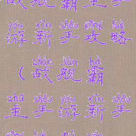 战舰霸主手游新手攻略(战舰霸主手游新手攻略图文)