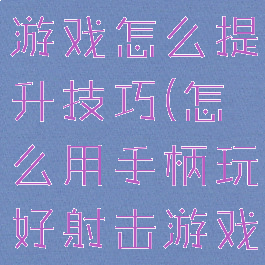 手柄玩射击游戏怎么提升技巧(怎么用手柄玩好射击游戏)