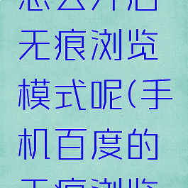 手机百度怎么开启无痕浏览模式呢(手机百度的无痕浏览怎么开)