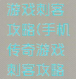 手机传奇游戏刺客攻略(手机传奇游戏刺客攻略图)