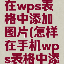 手机如何在wps表格中添加图片(怎样在手机wps表格中添加图片)