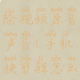 手机快剪辑怎么消除视频原音声音(手机快剪辑怎么去掉视频里的杂音)