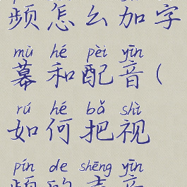 手机录视频怎么加字幕和配音(如何把视频的声音变成文字)