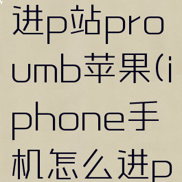 手机怎么进p站proumb苹果(iphone手机怎么进p站)