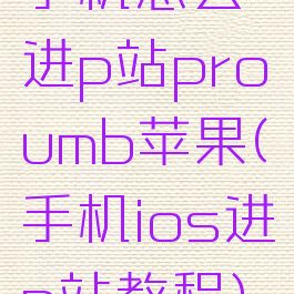 手机怎么进p站proumb苹果(手机ios进p站教程)