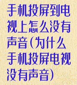 手机投屏到电视上怎么没有声音(为什么手机投屏电视没有声音)