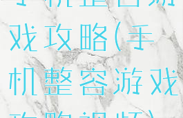 手机整容游戏攻略(手机整容游戏攻略视频)