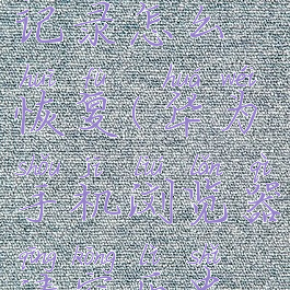 手机浏览器清空历史记录怎么恢复(华为手机浏览器清空历史记录怎么恢复)