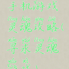 手机游戏灵魂攻略(寻求灵魂游戏)