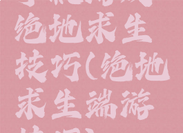 手机游戏绝地求生技巧(绝地求生端游技巧)