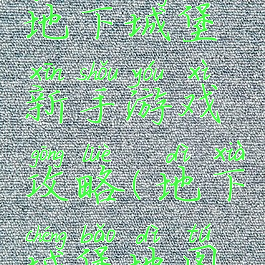 手机游戏地下城堡新手游戏攻略(地下城堡地图全开攻略)