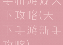 手机游戏天下攻略(天下手游新手攻略)