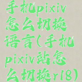 手机pixiv怎么切换语言(手机pixiv站怎么切换r18)