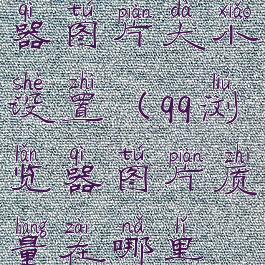 手机qq浏览器图片大小设置(qq浏览器图片质量在哪里设置)