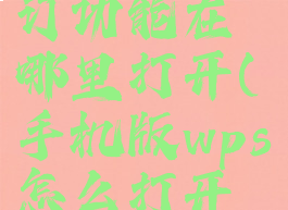 手机wps修订功能在哪里打开(手机版wps怎么打开修订模式)