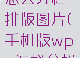 手机wps怎么分栏排版图片(手机版wps怎样分栏)