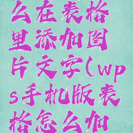手机wps怎么在表格里添加图片文字(wps手机版表格怎么加图片)
