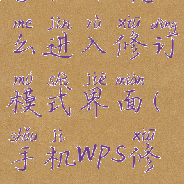 手机wps怎么进入修订模式界面(手机wps修订)