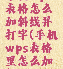 手机wps表格怎么加斜线并打字(手机wps表格里怎么加斜线)