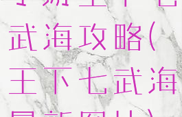 手游王下七武海攻略(王下七武海最新图片)