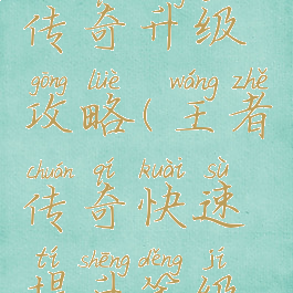 手游王者传奇升级攻略(王者传奇快速提升等级攻略)