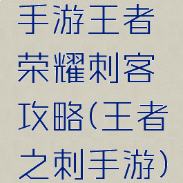 手游王者荣耀刺客攻略(王者之刺手游)