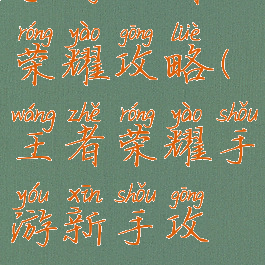 手游王者荣耀攻略(王者荣耀手游新手攻略)