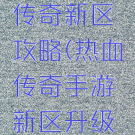 手游热血传奇新区攻略(热血传奇手游新区升级攻略)