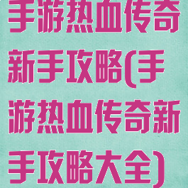 手游热血传奇新手攻略(手游热血传奇新手攻略大全)