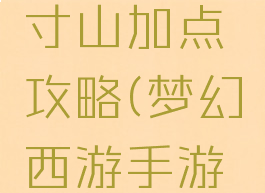 手游版梦幻西游方寸山加点攻略(梦幻西游手游方寸山副本加点)