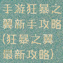 手游狂暴之翼新手攻略(狂暴之翼最新攻略)