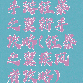 手游狂暴之翼新手攻略(狂暴之翼疾风者攻略)