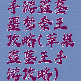 手游盗墓噩梦秦王攻略(苹果盗墓王手游攻略)