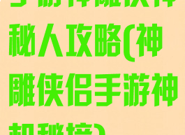 手游神雕侠神秘人攻略(神雕侠侣手游神机秘境)