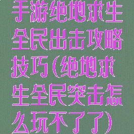 手游绝地求生全民出击攻略技巧(绝地求生全民突击怎么玩不了了)