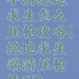 手游绝地求生怎么压枪攻略(绝地求生端游压枪技巧)