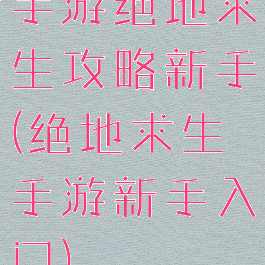 手游绝地求生攻略新手(绝地求生手游新手入门)