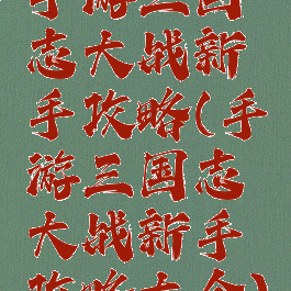 手游三国志大战新手攻略(手游三国志大战新手攻略大全)