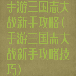 手游三国志大战新手攻略(手游三国志大战新手攻略技巧)