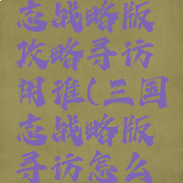 手游三国志战略版攻略寻访用谁(三国志战略版寻访怎么用)