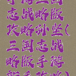 手游三国志战略版攻略孙坚(三国志战略版手游新手攻略)