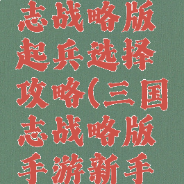 手游三国志战略版起兵选择攻略(三国志战略版手游新手攻略)
