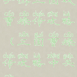 手游三国戏曹操传攻略(三国曹操传攻略中关村)