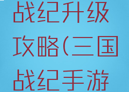 手游三国战纪升级攻略(三国战纪手游快速升级)